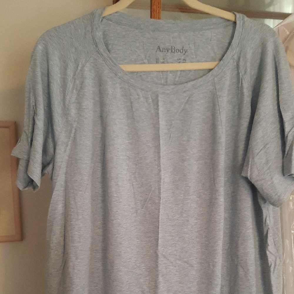 AnyBody Light Blue Top